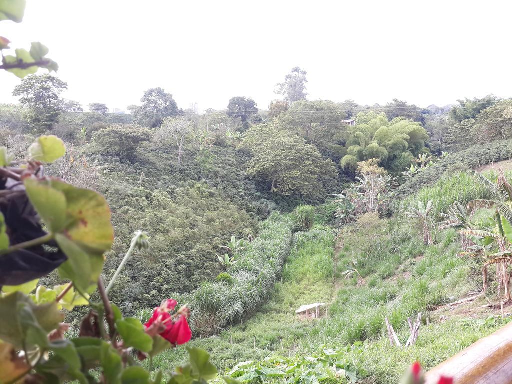 Finca El Diamante Willa Calarcá Zewnętrze zdjęcie