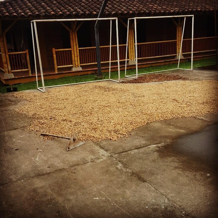 Finca El Diamante Willa Calarcá Zewnętrze zdjęcie