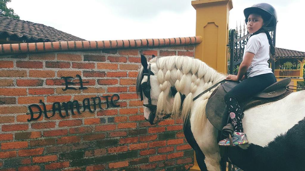 Finca El Diamante Willa Calarcá Zewnętrze zdjęcie