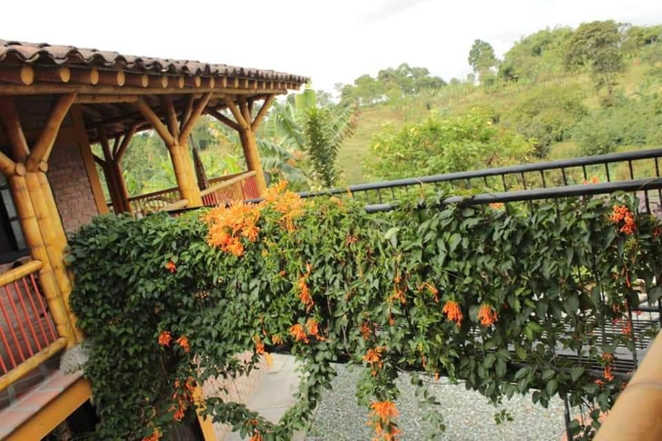 Finca El Diamante Willa Calarcá Zewnętrze zdjęcie