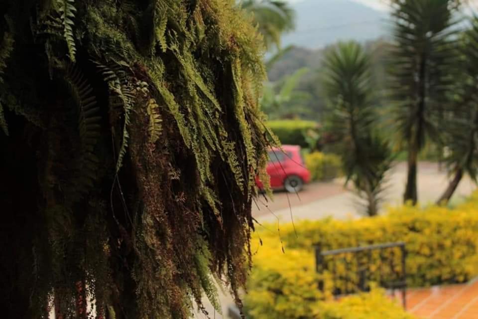 Finca El Diamante Willa Calarcá Zewnętrze zdjęcie