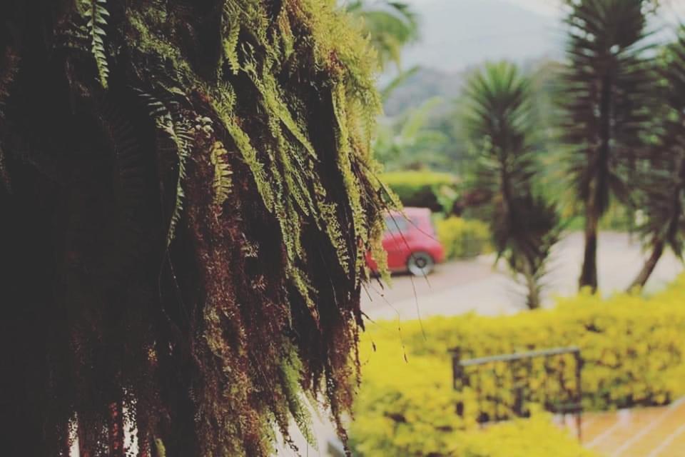 Finca El Diamante Willa Calarcá Zewnętrze zdjęcie